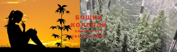 первитин Богородицк