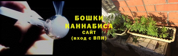крисы Богданович