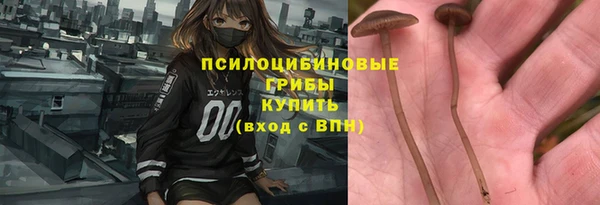 молекула духа Богородск
