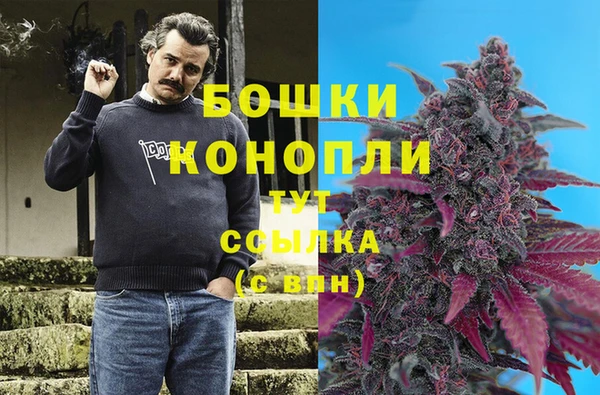 крисы Богданович