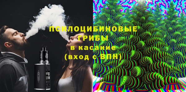 молекула духа Богородск