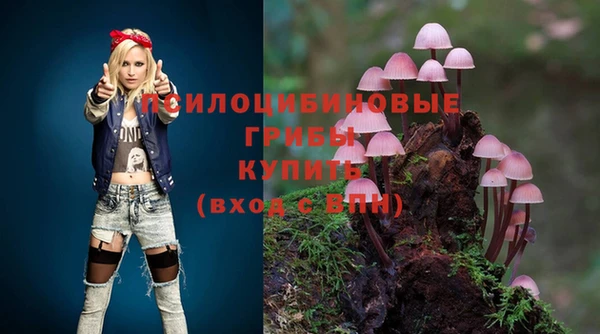 крисы Богданович