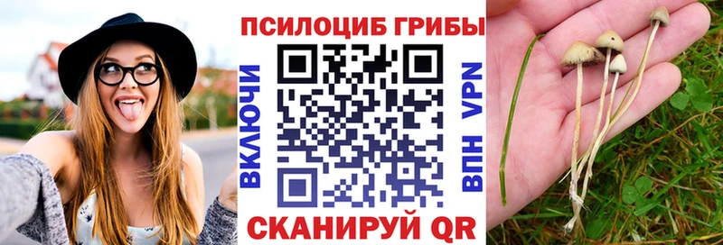 МЕГА ONION  Дедовск  Псилоцибиновые грибы ЛСД 