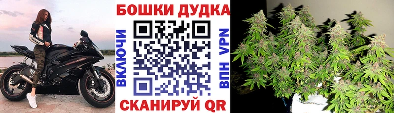 Каннабис ГИДРОПОН  Дедовск 